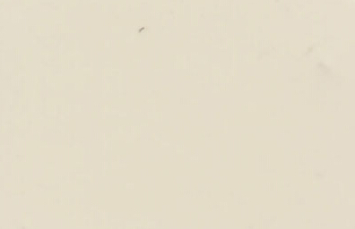 不銹鋼機螺釘